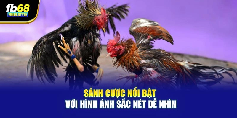 Sảnh cược nổi bật với hình ảnh sắc nét dễ nhìn